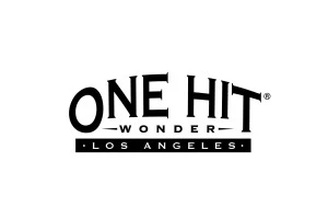 One Hit Wonder One Hit Wonder
