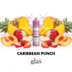 GLAS BASIX BSX SERIES - CARIBBEAN PUNCH - 60ML